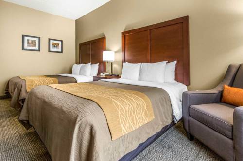 Imagen de la habitación del Hotel Comfort Inn Duncansville - Altoona. Foto 8