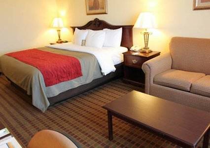 Imagen de la habitación del Hotel Comfort Inn Early Brownwood. Foto 3