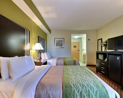 Imagen de la habitación del Hotel Comfort Inn East, Indian&aacute;polis. Foto 3