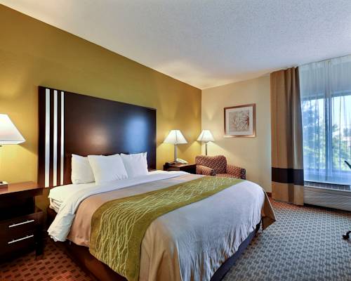 Imagen de la habitación del Hotel Comfort Inn East, Indian&aacute;polis. Foto 8