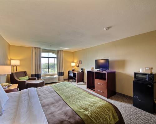 Imagen general del Hotel Comfort Inn Edinburg South. Foto 1