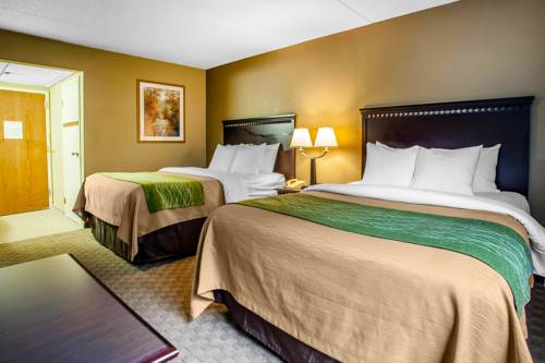 Imagen de la habitación del Hotel Comfort Inn Edison - New Brunswick. Foto 1