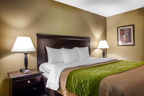Imagen de la habitación del Hotel Comfort Inn Edison - New Brunswick. Foto 2