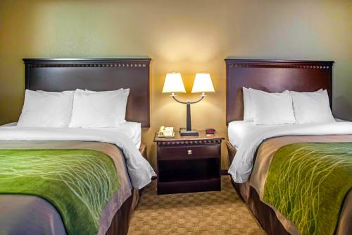 Imagen de la habitación del Hotel Comfort Inn Edison - New Brunswick. Foto 3