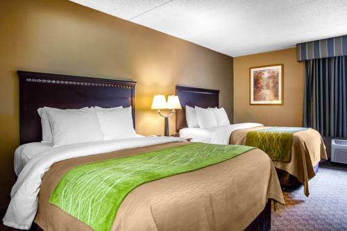 Imagen de la habitación del Hotel Comfort Inn Edison - New Brunswick. Foto 4