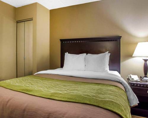 Imagen de la habitación del Hotel Comfort Inn Edison - New Brunswick. Foto 5