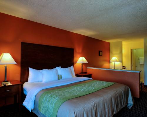 Imagen de la habitación del Hotel Comfort Inn Fayetteville I-95. Foto 6