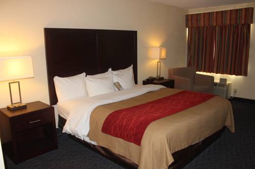 Imagen de la habitación del Hotel Comfort Inn Feasterville - Trevose. Foto 3