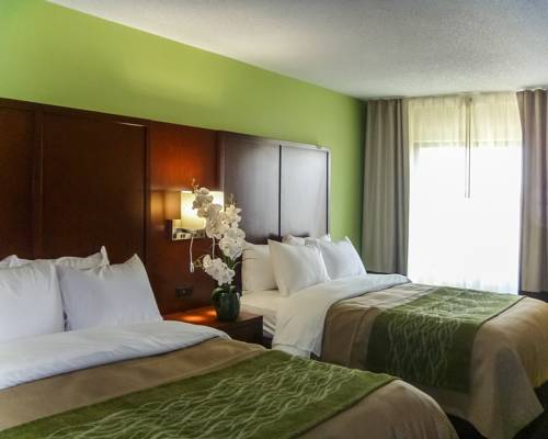 Imagen de la habitación del Hotel Comfort Inn Fort Mill Amusement Park at Carowinds Blvd. Foto 2