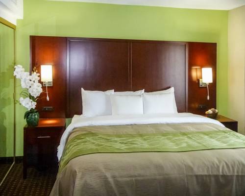 Imagen de la habitación del Hotel Comfort Inn Fort Mill Amusement Park at Carowinds Blvd. Foto 3