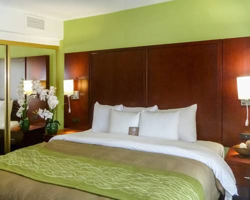 Imagen de la habitación del Hotel Comfort Inn Fort Mill Amusement Park at Carowinds Blvd. Foto 4