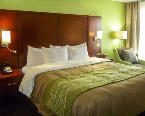 Imagen de la habitación del Hotel Comfort Inn Fort Mill Amusement Park at Carowinds Blvd. Foto 5