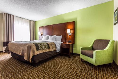 Imagen de la habitación del Hotel Comfort Inn Fort Mill Amusement Park at Carowinds Blvd. Foto 6