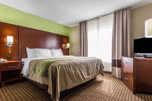 Imagen de la habitación del Hotel Comfort Inn Fort Mill Amusement Park at Carowinds Blvd. Foto 7