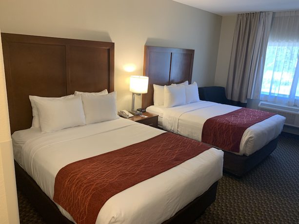 Imagen de la habitación del Hotel Comfort Inn Fort Morgan. Foto 5