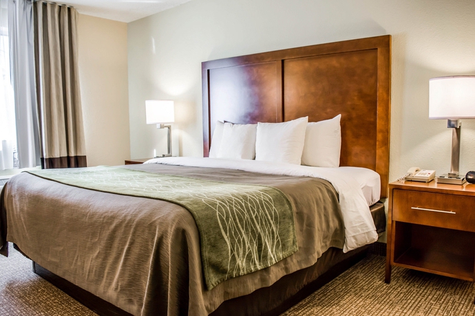 Imagen de la habitación del Hotel Comfort Inn Fort Myers Northeast. Foto 4