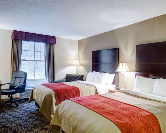 Imagen de la habitación del Hotel Comfort Inn Foxboro &ndash; Mansfield. Foto 4