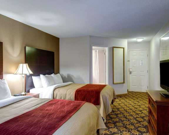 Imagen de la habitación del Hotel Comfort Inn Foxboro &ndash; Mansfield. Foto 11