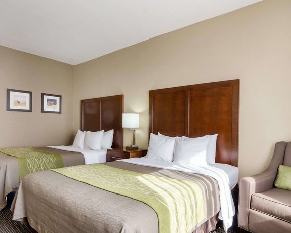 Imagen de la habitación del Hotel Comfort Inn Garden City. Foto 3