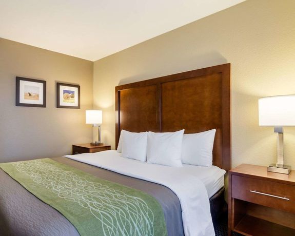 Imagen de la habitación del Hotel Comfort Inn Garden City. Foto 10