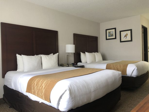 Imagen de la habitación del Hotel Comfort Inn Grand Island North. Foto 5