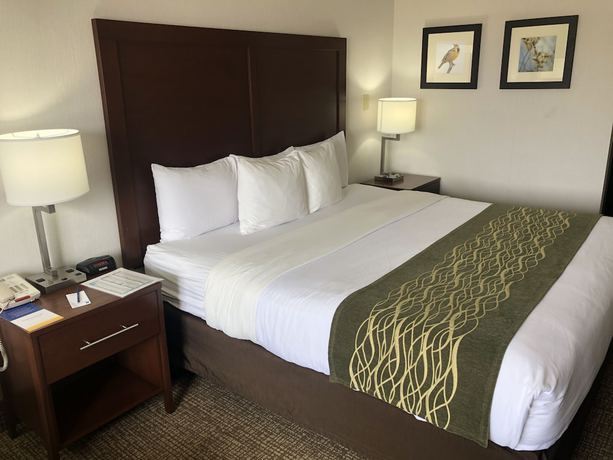 Imagen de la habitación del Hotel Comfort Inn Grand Island North. Foto 6