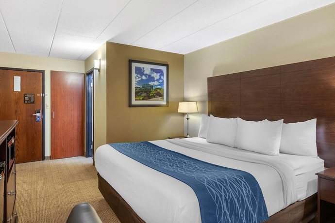 Imagen de la habitación del Hotel Comfort Inn Grand Rapids Airport. Foto 5