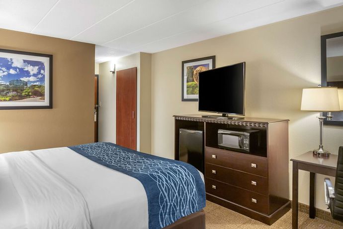 Imagen de la habitación del Hotel Comfort Inn Grand Rapids Airport. Foto 13