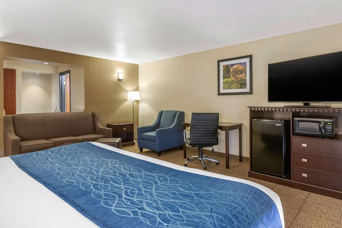 Imagen de la habitación del Hotel Comfort Inn Grand Rapids Airport. Foto 14