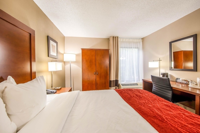Imagen de la habitación del Hotel Comfort Inn Greenville - Haywood Mall. Foto 6