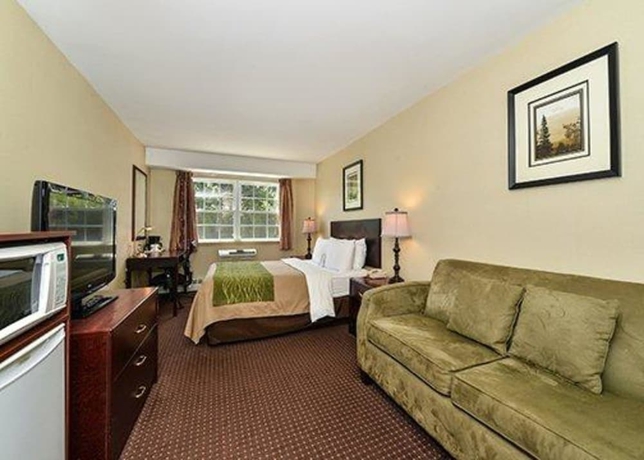 Imagen de la habitación del Hotel Comfort Inn, Halifax. Foto 4