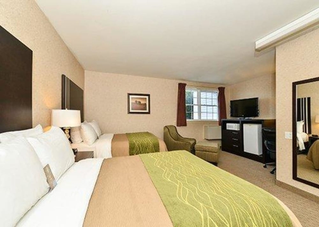 Imagen de la habitación del Hotel Comfort Inn, Halifax. Foto 6