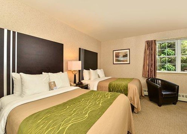 Imagen de la habitación del Hotel Comfort Inn, Halifax. Foto 7