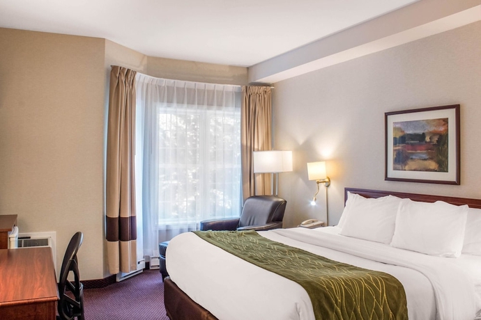 Imagen de la habitación del Hotel Comfort Inn, Halifax. Foto 11