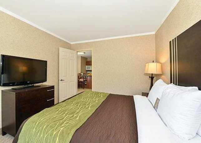 Imagen de la habitación del Hotel Comfort Inn, Halifax. Foto 13