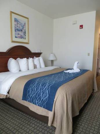 Imagen de la habitación del Hotel Comfort Inn Hanford Lemoore. Foto 7