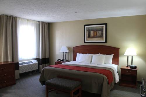 Imagen de la habitación del Hotel Comfort Inn, Hastings. Foto 3