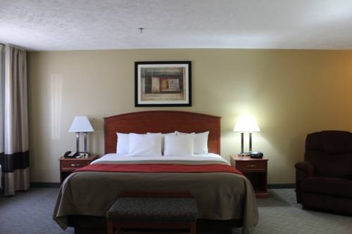 Imagen de la habitación del Hotel Comfort Inn, Hastings. Foto 5