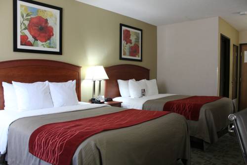 Imagen de la habitación del Hotel Comfort Inn, Hastings. Foto 7