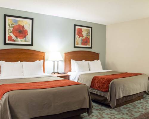 Imagen de la habitación del Hotel Comfort Inn, Hastings. Foto 14