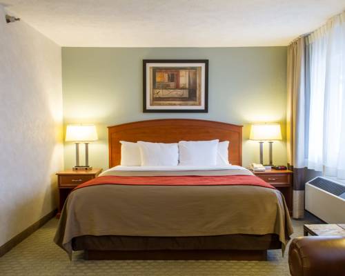 Imagen de la habitación del Hotel Comfort Inn, Hastings. Foto 16