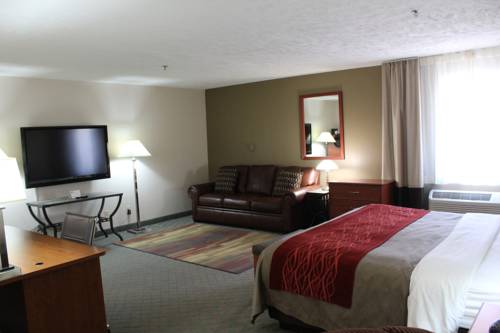Imagen general del Hotel Comfort Inn, Hastings. Foto 1