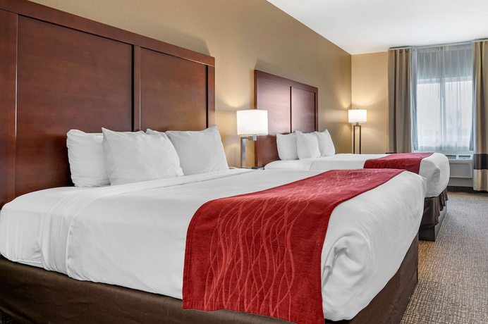 Imagen de la habitación del Hotel Comfort Inn Hebron-lowell Area. Foto 10