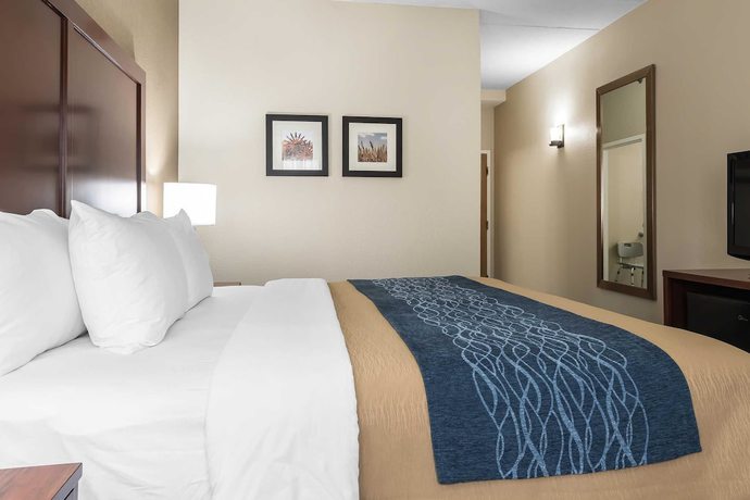 Imagen de la habitación del Hotel Comfort Inn Indianapolis North - Carmel. Foto 8