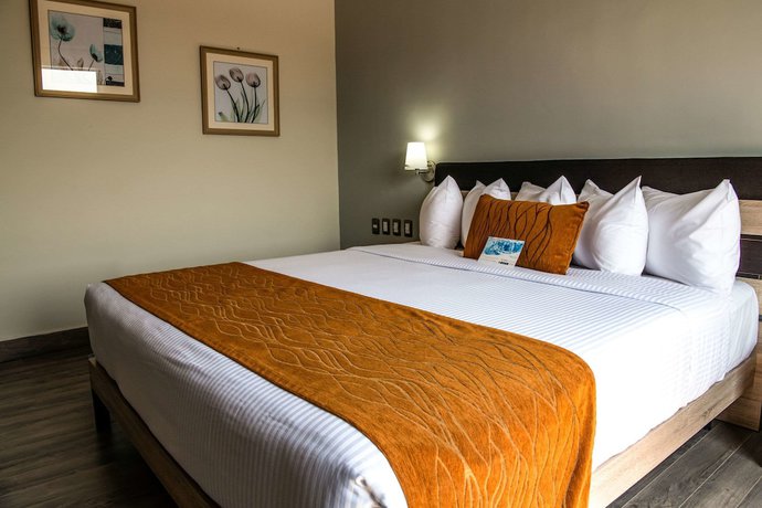 Imagen de la habitación del Hotel Comfort Inn Irapuato. Foto 11