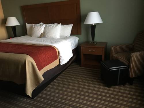 Imagen de la habitación del Hotel Comfort Inn Jackson I-40. Foto 7