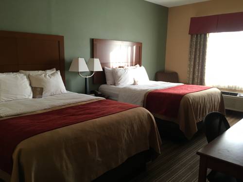 Imagen de la habitación del Hotel Comfort Inn Jackson I-40. Foto 8
