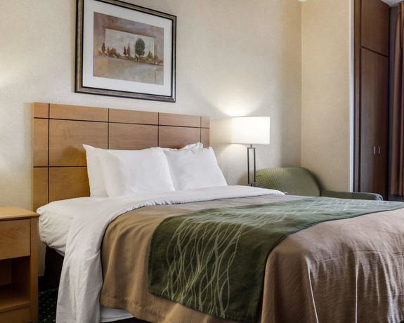 Imagen de la habitación del Hotel Comfort Inn Jamestown. Foto 15