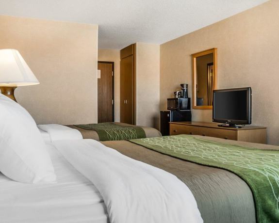 Imagen de la habitación del Hotel Comfort Inn Jamestown. Foto 18