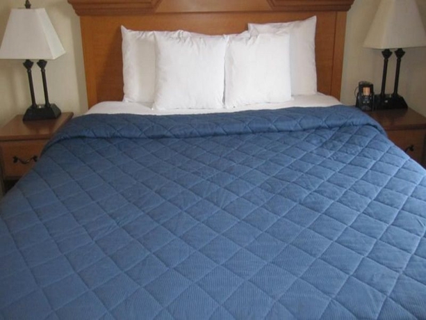 Imagen general del Hotel Comfort Inn Jfk Airport. Foto 2